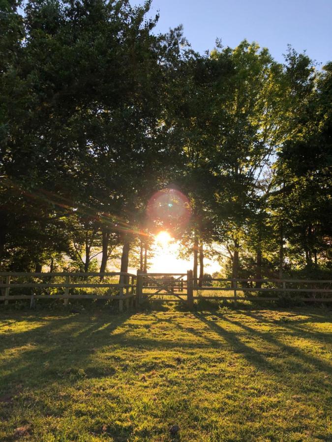 Nine Acres, Peaceful Hotel Brackley  Exterior foto